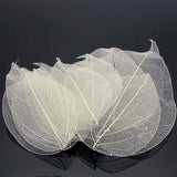 HULIANFU Lucia Crafts 36pcs /Bag  Multi-Color  Natural Skeleton Leaf Dry Leaves Scrapbooking  Girl DIY Material  C0704