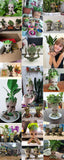 HULIANFU Strongwell Home Decoration Flower Vase Miniature Model Succulent Flower Pots Desktop Display Figurines Baby Groot Artware Gifts