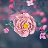 HULIANFU Peony flower Rose Flower Silicone Mold Handmade Flower Candle Mould DIY Soap Mold Aroma Plaster Car Pendant Mould Home Decor