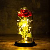 HULIANFU Valentines Day Gift for Girlfriend Eternal Rose LED Light Foil Flower In Glass Cover Mothers Day Wedding favors Bridesmaid Gift