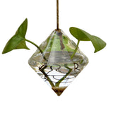 HULIANFU Simple Transparent Glass Small Vase Nordic Decoration Living Room Flower Home Vases For Flowers Aromatherapy Bottle