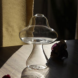 HULIANFU Simple Transparent Glass Small Vase Nordic Decoration Living Room Flower Home Vases For Flowers Aromatherapy Bottle