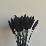 HULIANFU Natural Dried Flowers Lagurus Ovatus Rabbit Bunny Tail Grass Bunch Real Flower Bouquet Pampas Grass for Home Wedding Decoration
