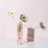 HULIANFU Nordic Glass Vase Small Glass Vases Flower Arrangement Home Decoration Accessories Modern Living Room Glass Ornament