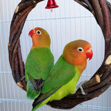 HULIANFU Parrot Ring Bird Swing Apple Branch Braided Ring Bird Stand Rattan Ring Biting Toy Bird Cage