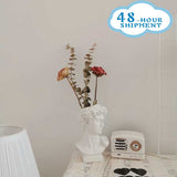 HULIANFU W&amp;G Nordic Vase Home Decor Vase Creative Human Head Portrait Flower Vases Room Decoration Resin David Flower Vase Room Decor