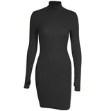 Hulianfu Autumn Fashion Sexy Solid Turtleneck Skinny Mini Dress Women Rib Knit Keep Warm Long Sleeve Slim Dress Streetwear