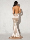 Deep V Neck Black Satin Maxi Dress Long Mermaid Bodycon Floor Length Open Back Stretch Cut Out Party Dress