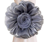 HULIANFU Modern Room Buckle Holder Magnetic Curtain Tieback Flower Strap Window Flower Curtain Tieback Clip-on Rose Tie Holder Decor
