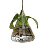 HULIANFU Simple Transparent Glass Small Vase Nordic Decoration Living Room Flower Home Vases For Flowers Aromatherapy Bottle