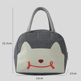 HULIANFU Portable Cooler Bag Ice Pack Lunch Box Insulation Package Insulated Thermal Food Picnic Bags Pouch For Women Girl Kids Children