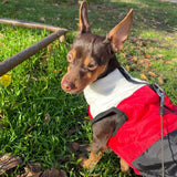 HULIANFU Warm Dog Clothes For Small Dog Windproof Winter Pet Dog Coat Jacket Padded Clothes Puppy Outfit Vest Yorkie Chihuahua Clothes