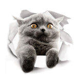 HULIANFU 2023 3D Lovely Pet Self-adhesive Wallpaper Children Living Room Bathroom Toilet Decals Mural Tattoo